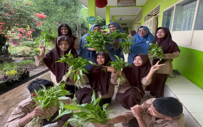Kokurikuler IPA “Sekolahku Hijau”panen Budidaya Tanaman Kangkung
